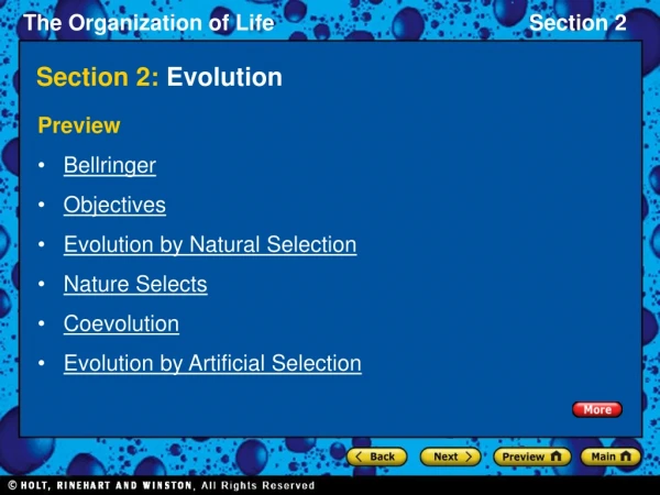 Section 2:  Evolution