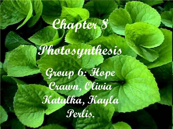 Chapter 8 Photosynthesis Group 6: Hope Crawn, Olivia Katulka, Kayla Perlis.