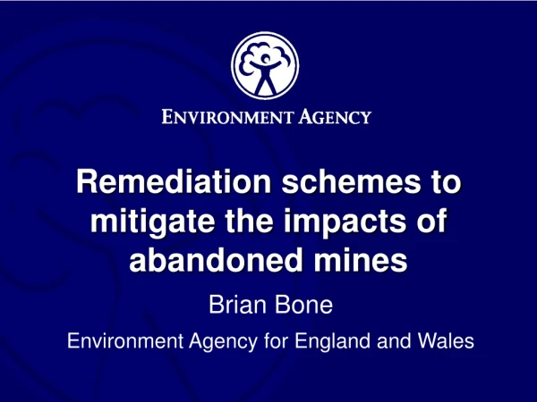 Remediation schemes to mitigate the impacts of abandoned mines