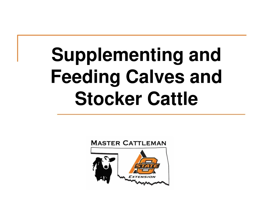 supplementing and feeding calves and stocker cattle