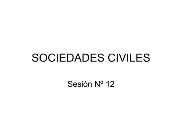 SOCIEDADES CIVILES