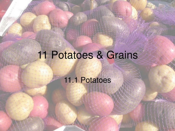 11 Potatoes &amp; Grains