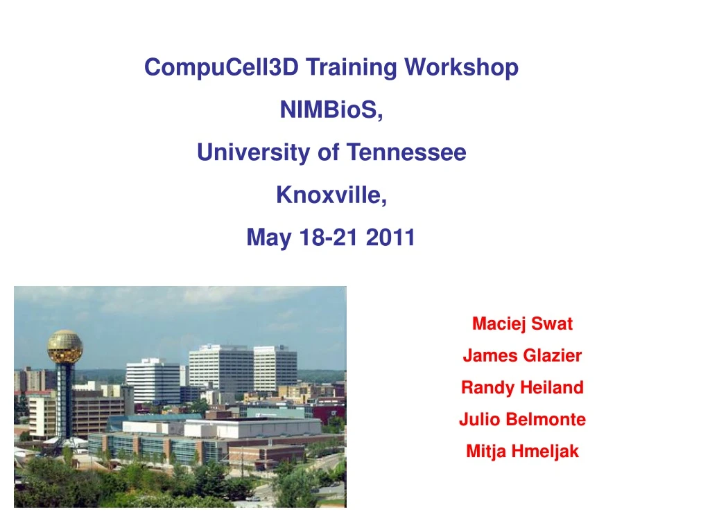 compucell3d training workshop nimbios university