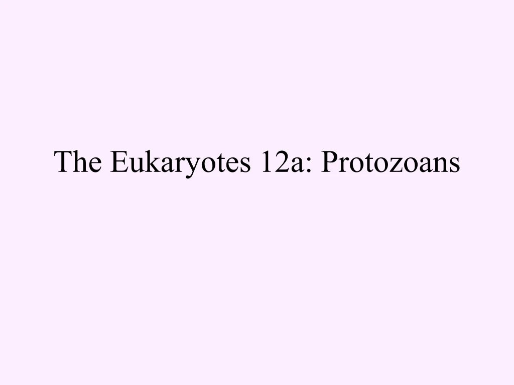 the eukaryotes 12a protozoans