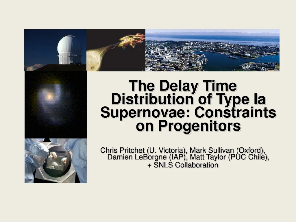 the delay time distribution of type ia supernovae
