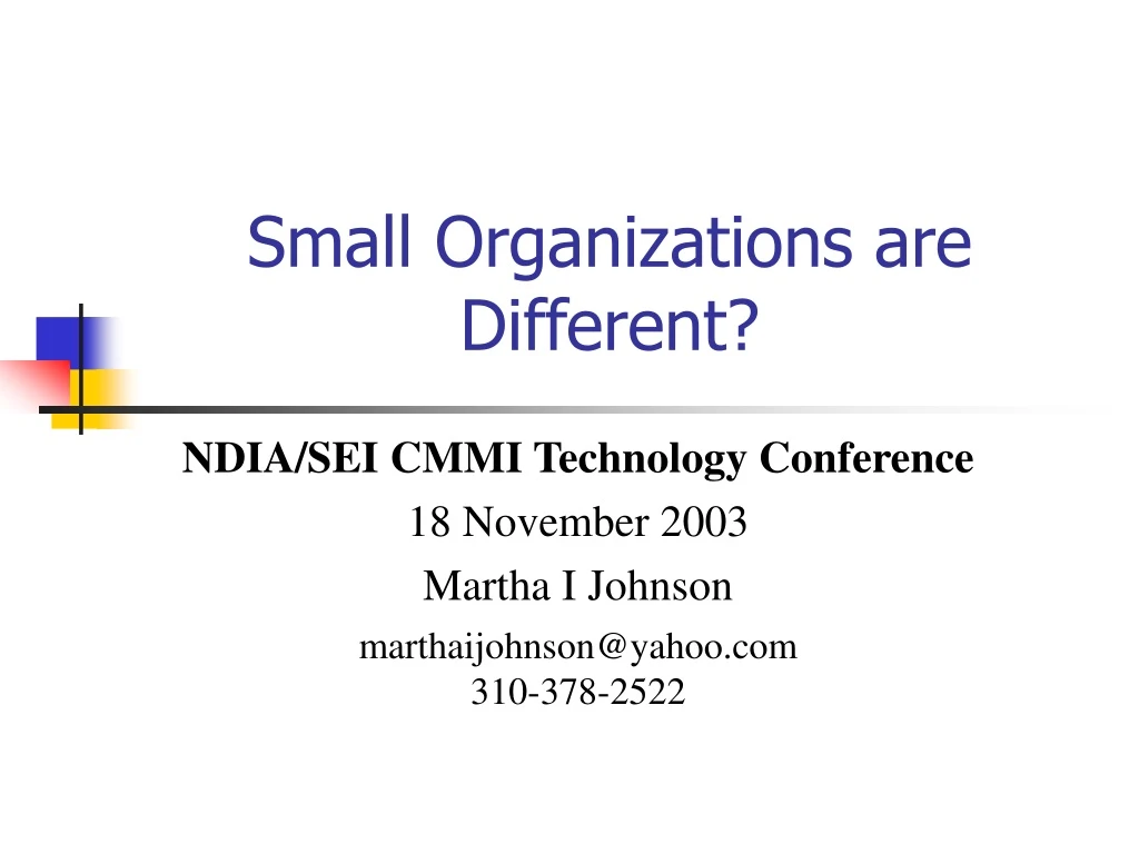 small organizations are different