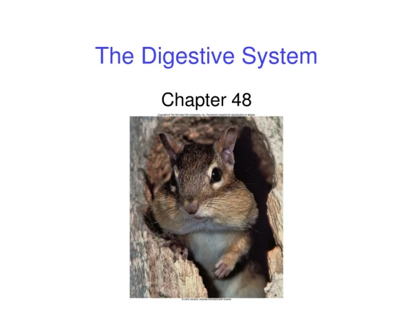 The Digestive System