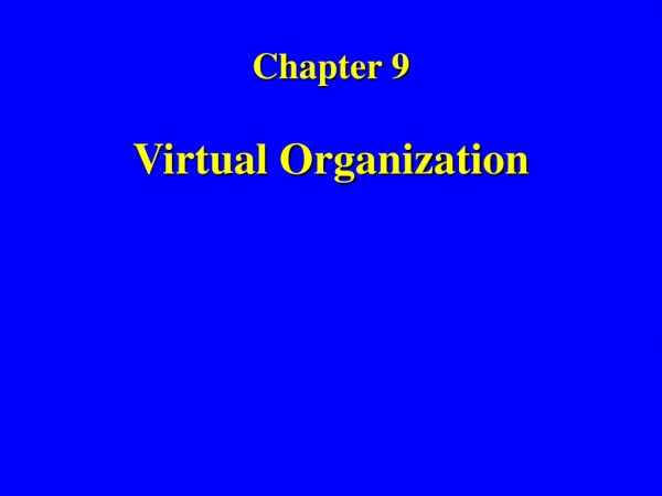 Chapter 9 Virtual Organization
