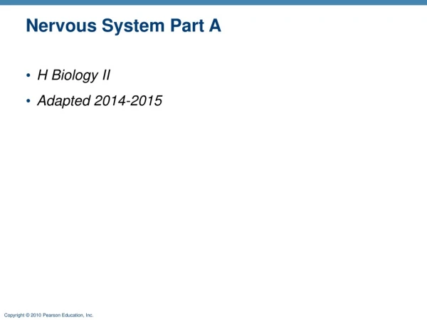 Nervous System Part A