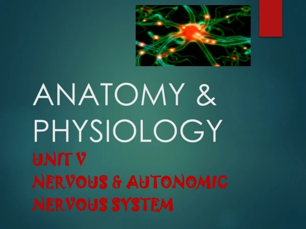 ANATOMY &amp; PHYSIOLOGY