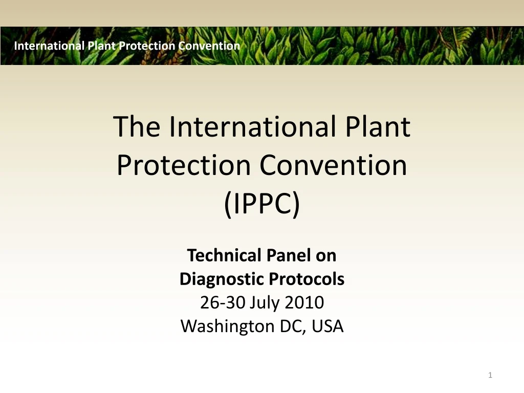 Expert working groups (EWGs) - International Plant Protection Convention