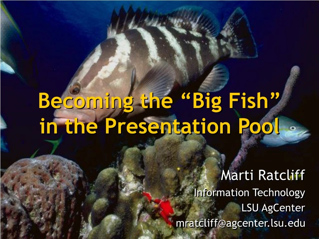 becoming the big fish in the presentation pool