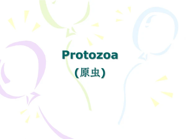 Protozoa ( 原虫 )