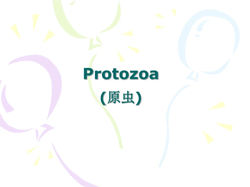 PPT - Protozoa ( 原虫 ) PowerPoint Presentation, Free Download - ID:9101662