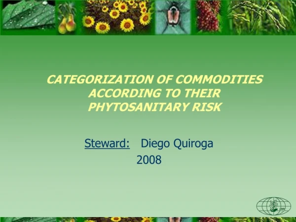 CATEGORIZATION OF COMMODITIES ACCORDING TO THEIR PHYTOSANITARY RISK