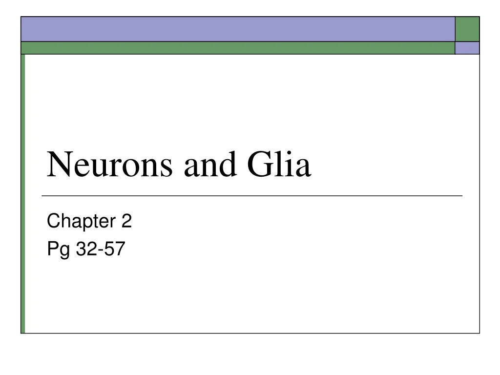 neurons and glia