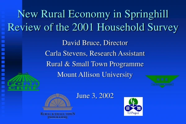 New Rural Economy in Springhill Review of the 2001 Household Survey