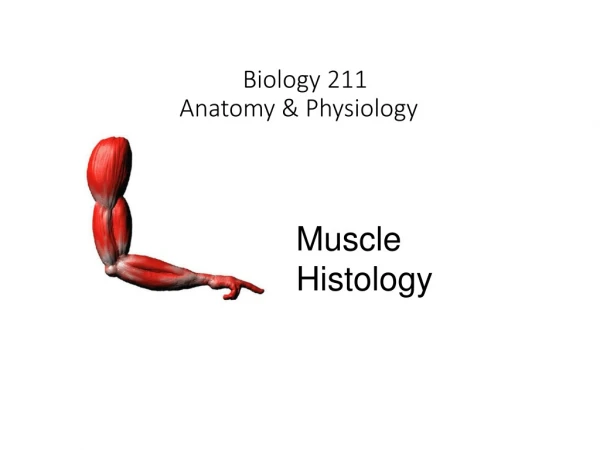 Biology 211 Anatomy &amp; Physiology  I