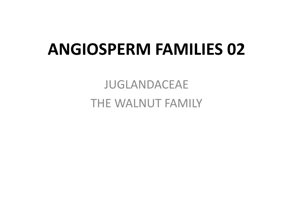 angiosperm families 02