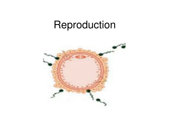 Reproduction