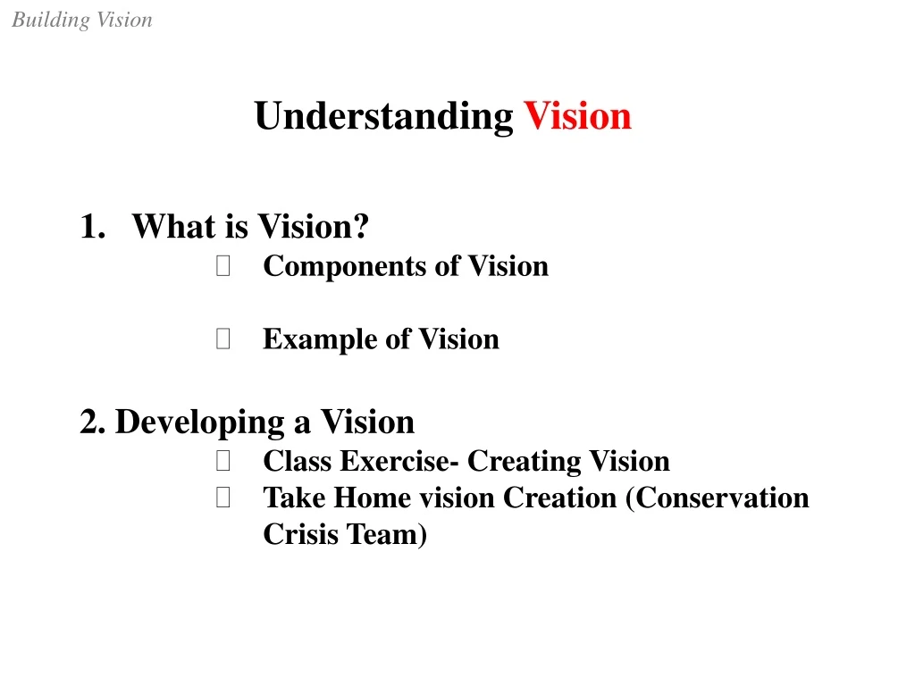 understanding vision