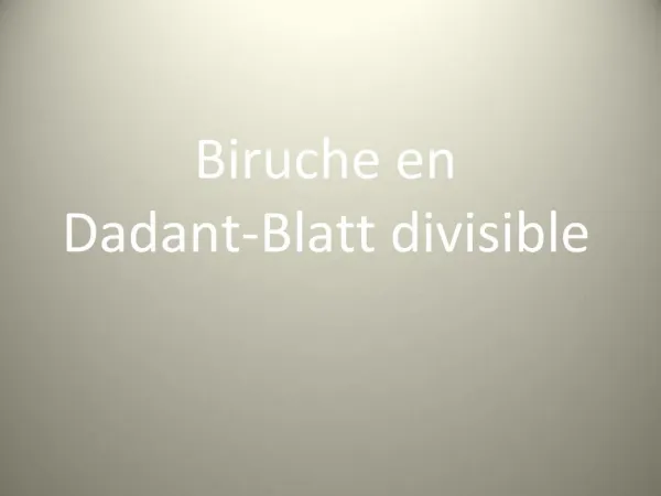 Biruche en Dadant-Blatt divisible