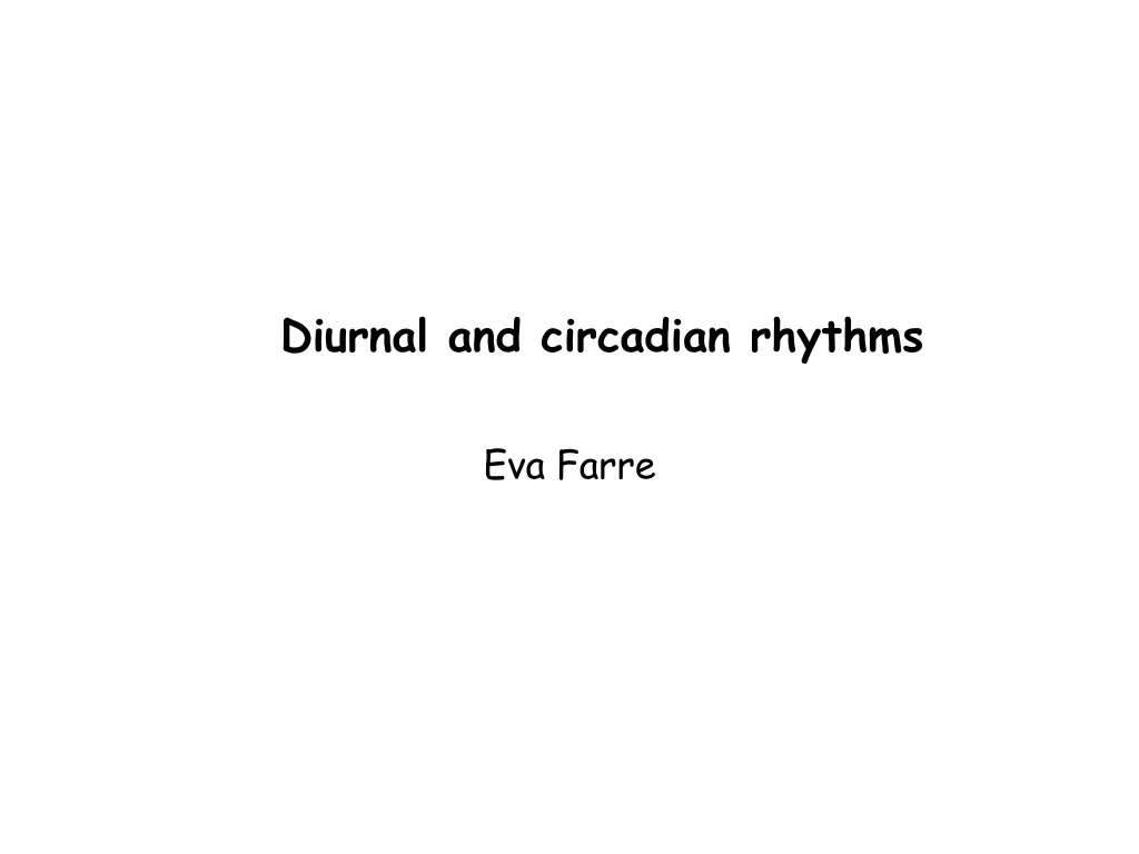 diurnal and circadian rhythms