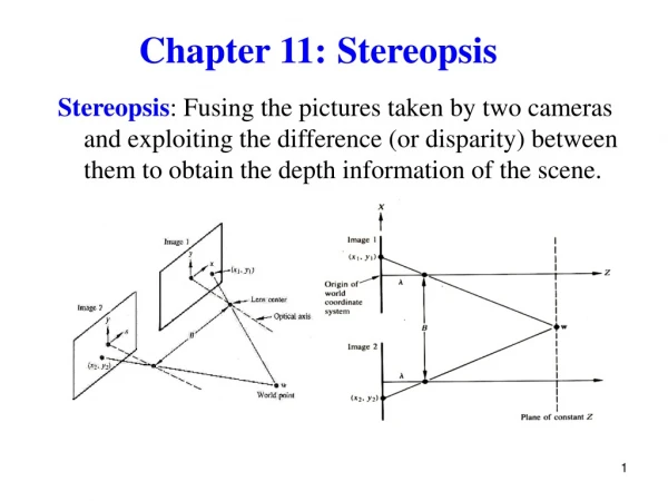 Chapter 11: Stereopsis