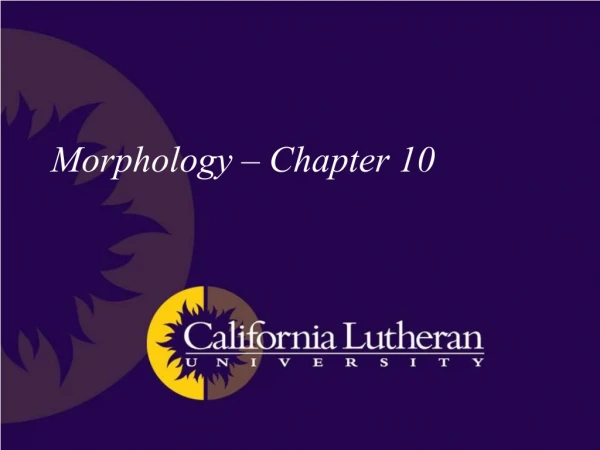 Morphology – Chapter 10