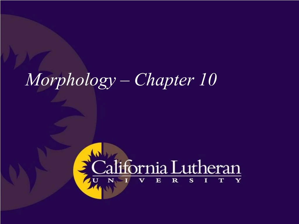 morphology chapter 10