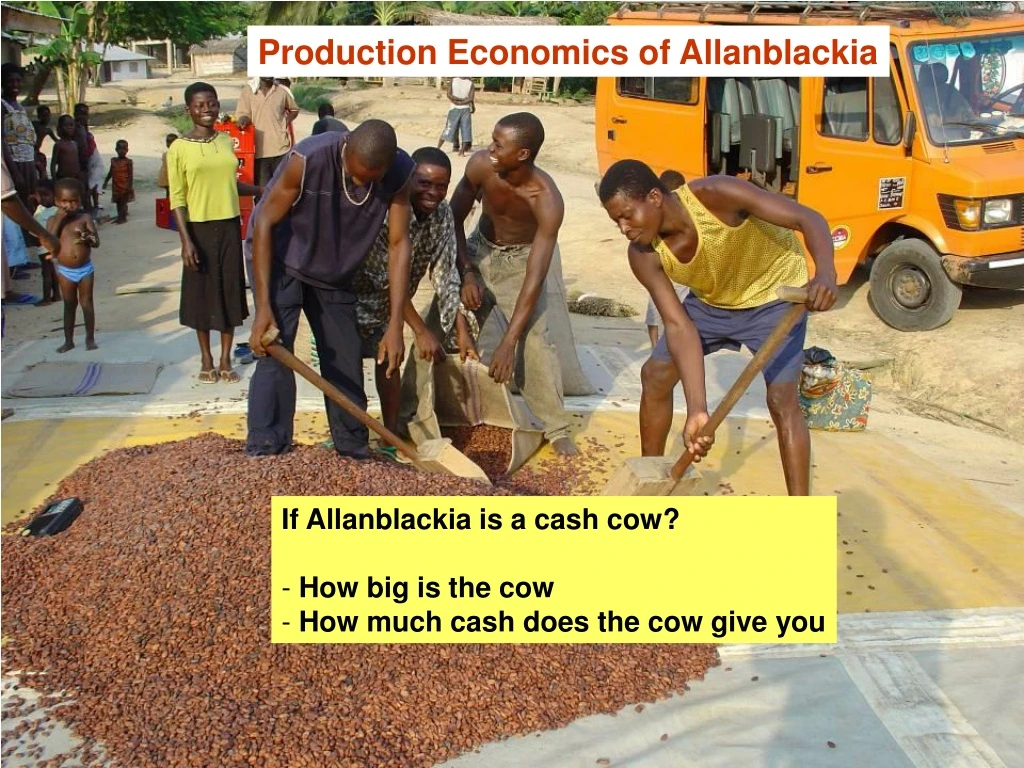 production economics of allanblackia