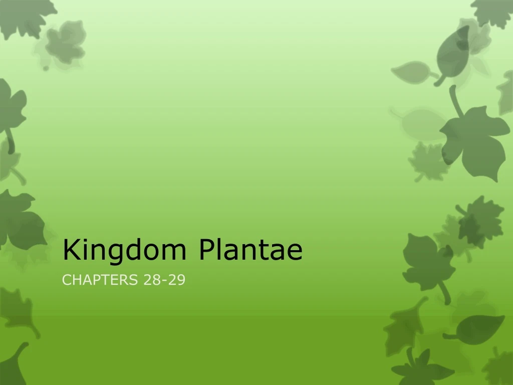 kingdom plantae