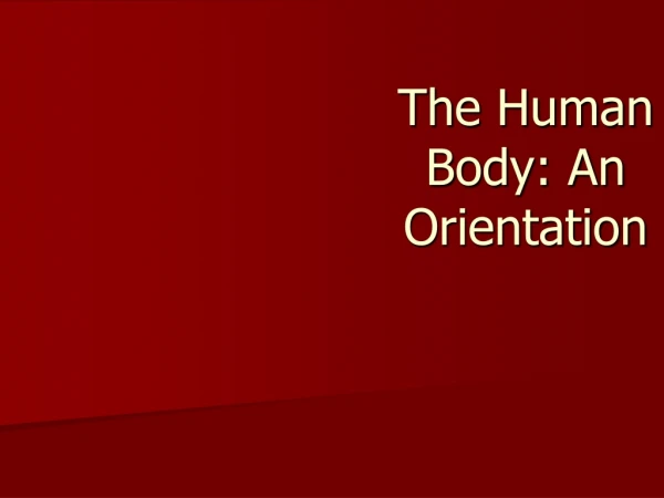 The Human Body: An Orientation