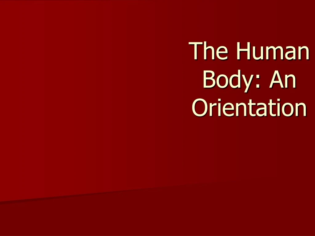 the human body an orientation