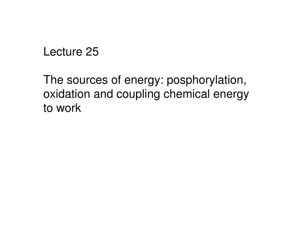lecture 25 the sources of energy posphorylation