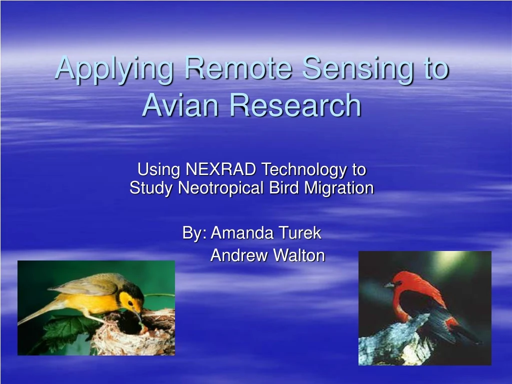 applying remote sensing to avian research