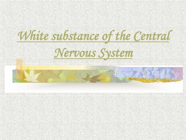 White substance of the Central Nervous System