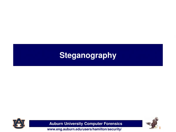 Steganography