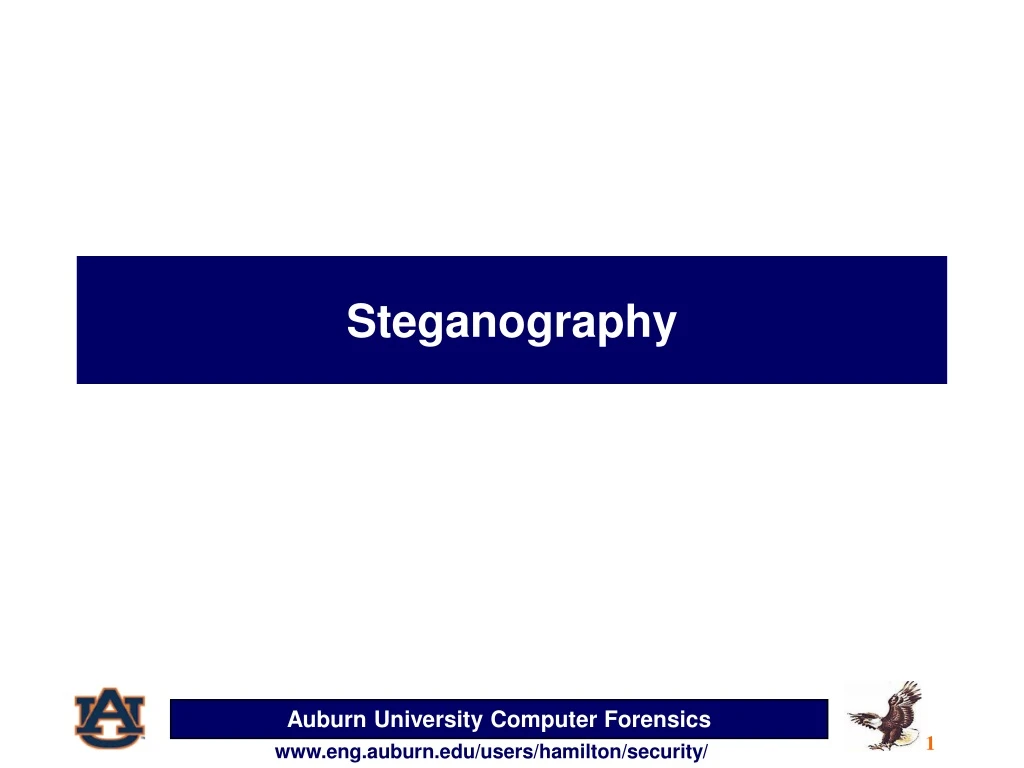 steganography