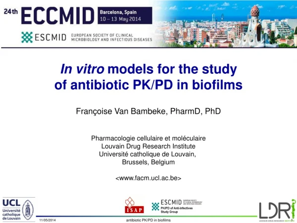 In vitro  models for the study  of antibiotic PK/PD in biofilms