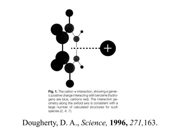 Dougherty, D. A.,  Science,  1996,  271, 163.