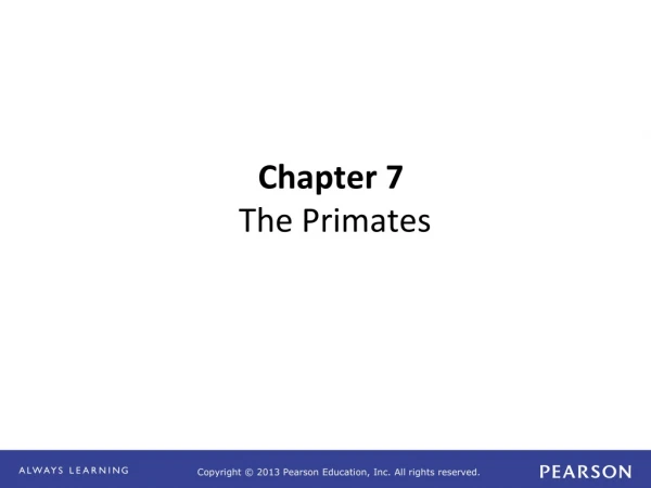 Chapter 7  The Primates