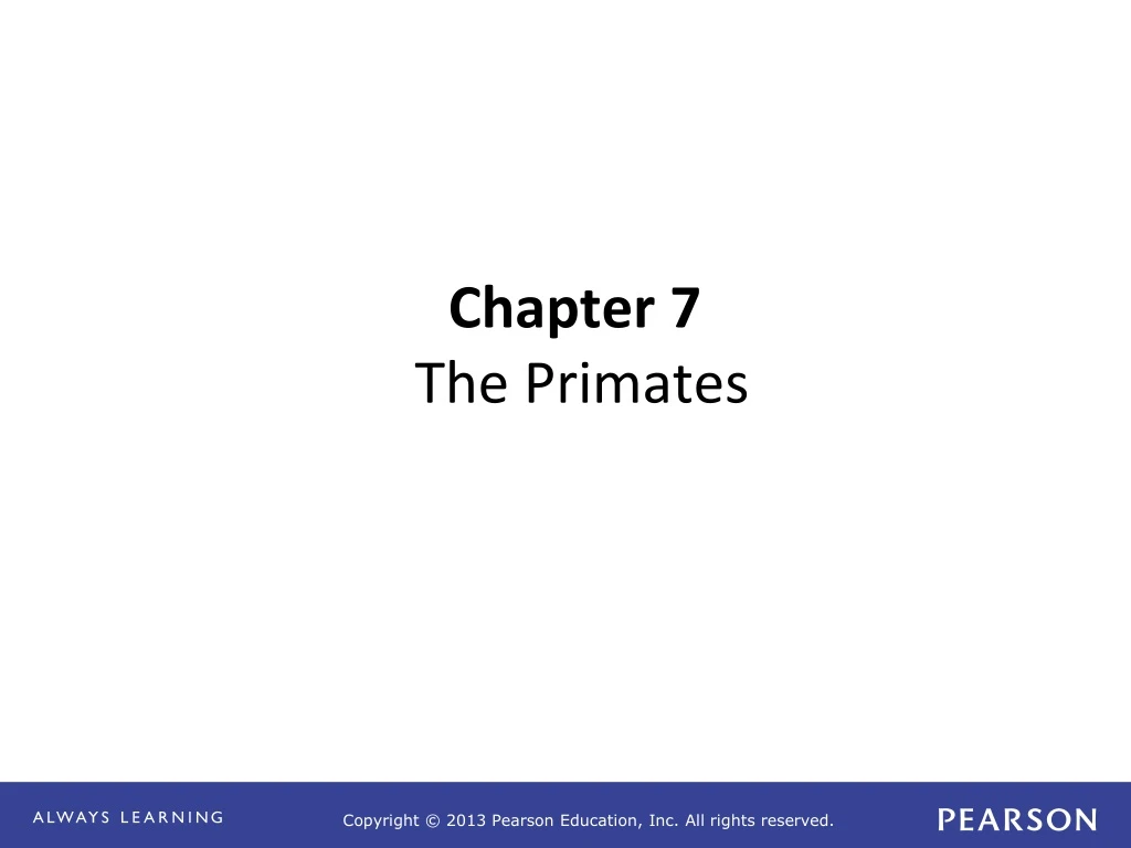 chapter 7 the primates