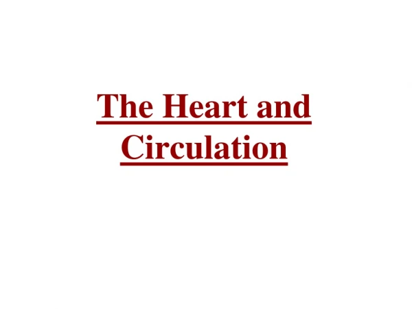 The Heart and  Circulation