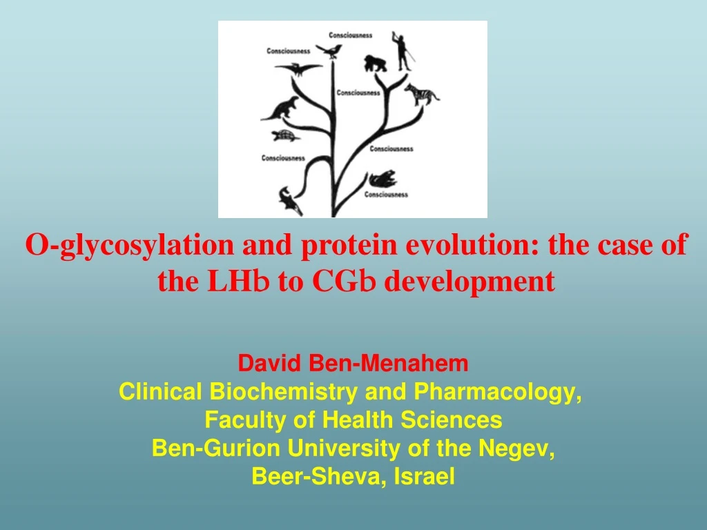 o glycosylation and protein evolution the case