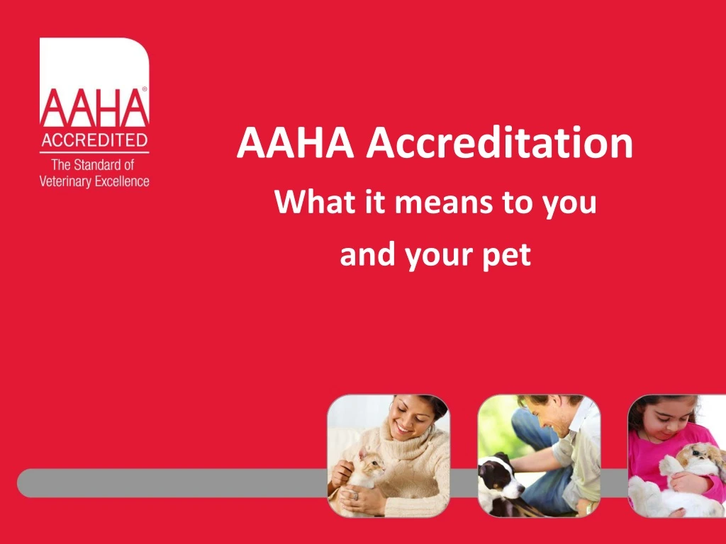 aaha accreditation what it means to you and your