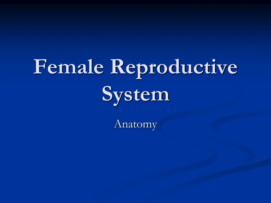 female reproductive system