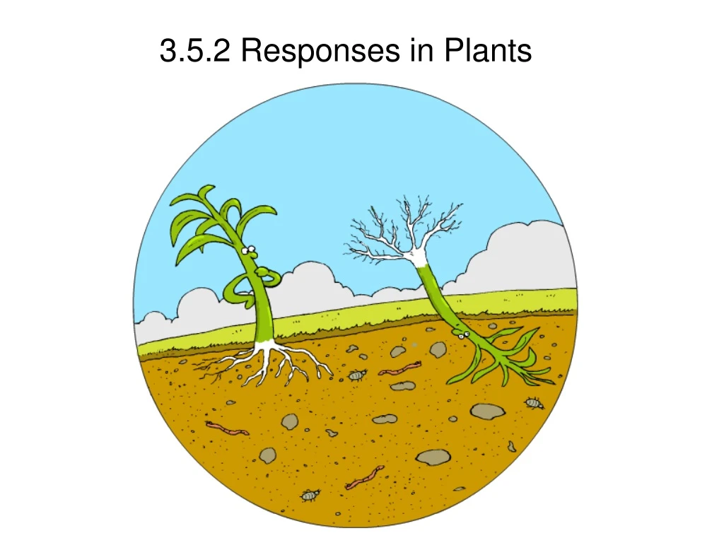 3 5 2 responses in plants