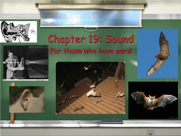 Chapter 19: Sound