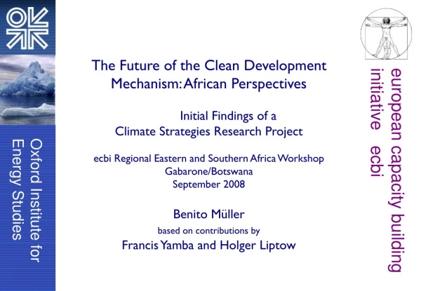 The Future of the Clean Development Mechanism: African Perspectives 	Initial Findings of a